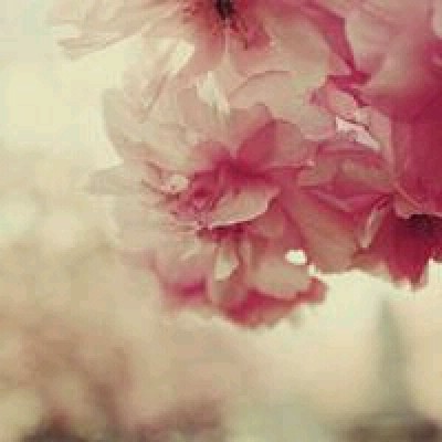 ������΢��Ψ���羰ͷ��/   ������չ������