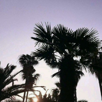 ������΢��Ψ���羰ͷ��/   ������չ������