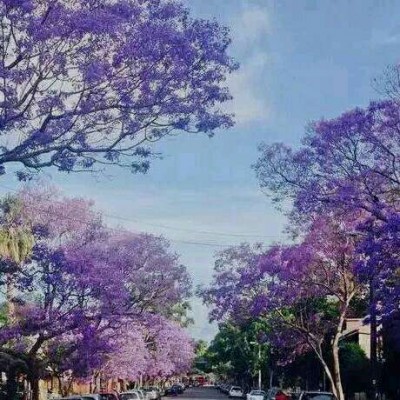 ������΢��Ψ���羰ͷ��/   ������չ������