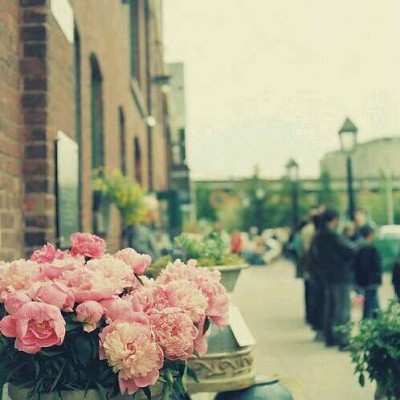 ������΢��Ψ���羰ͷ��/   ������չ������