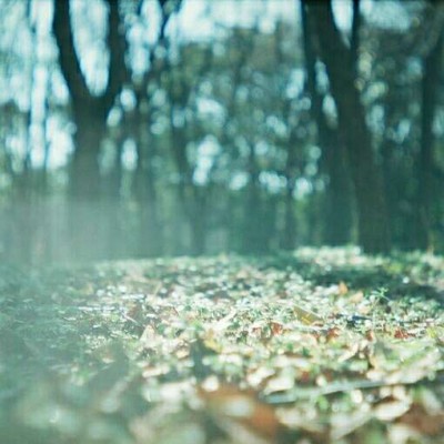 ������΢��Ψ���羰ͷ��/   ������չ������