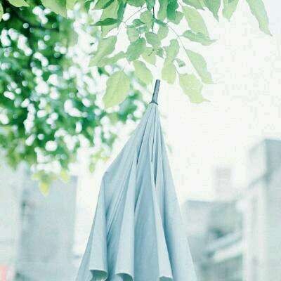 ������΢��Ψ���羰ͷ��/   ������չ������