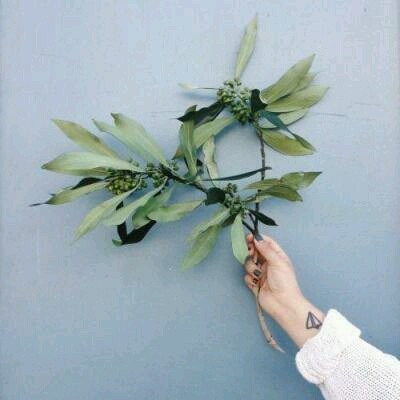 ������΢��Ψ���羰ͷ��/   ������չ������