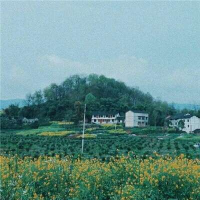 ������΢��Ψ���羰ͷ��/   ������չ������