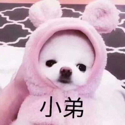 ������ͷ??