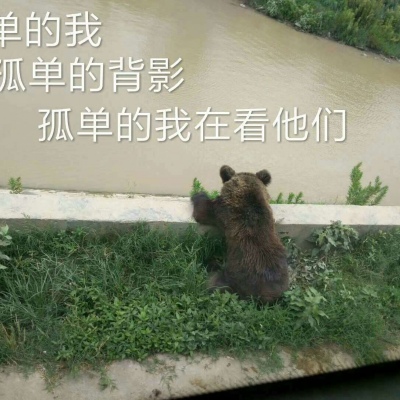 ������ͷ??