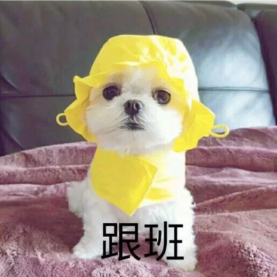 ������ͷ??