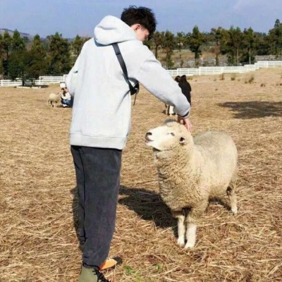 ���˽���������?