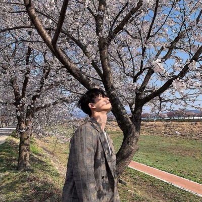 ����в��ǲ�֪������η ������֪ ��Ȼ��η ?