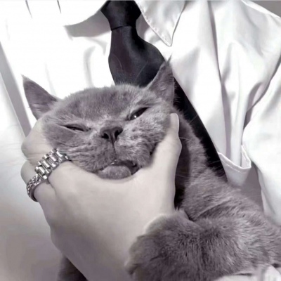 Ѱ��/2019��λ��ͷ/��������ס��