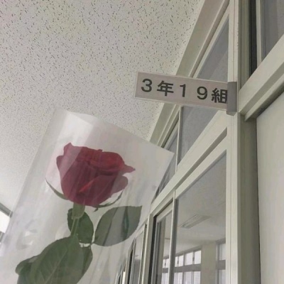 ����/����/�Ѻ�ҹ�����ǹ⣬�������������졣