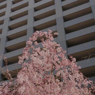 ����/����/�Ѻ�ҹ�����ǹ⣬�������������졣