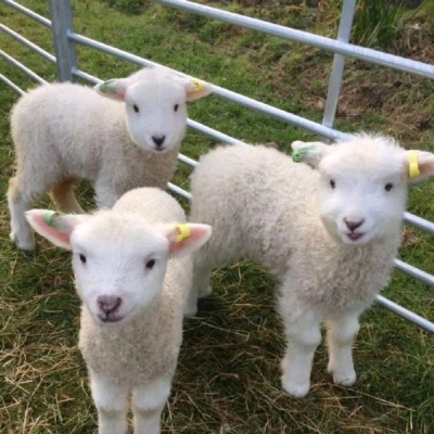 ����/����/�Ѻ�ҹ�����ǹ⣬�������������졣