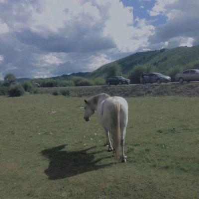 ����/����/�Ѻ�ҹ�����ǹ⣬�������������졣