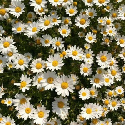 ����/����/�Ѻ�ҹ�����ǹ⣬�������������졣