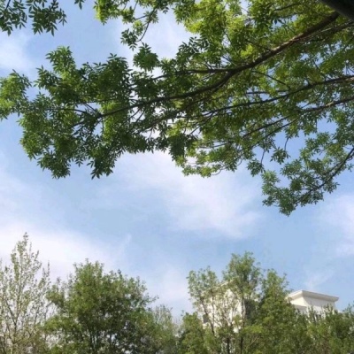 ����/����/�Ѻ�ҹ�����ǹ⣬�������������졣