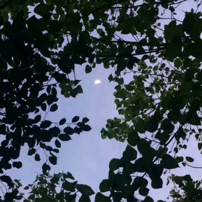 ����/����/�Ѻ�ҹ�����ǹ⣬�������������졣