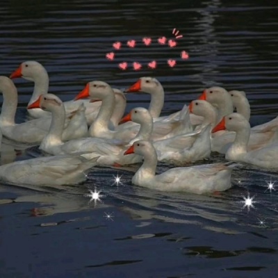 ����/����/�Ѻ�ҹ�����ǹ⣬�������������졣