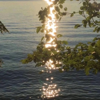 ����/����/�Ѻ�ҹ�����ǹ⣬�������������졣