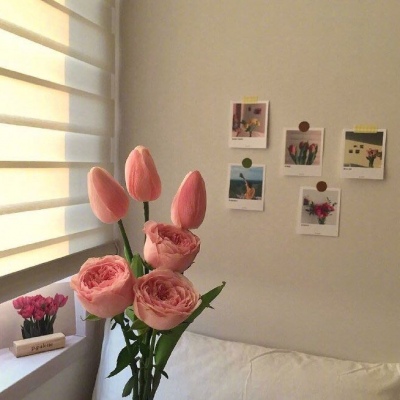 | ����ϵ���� |