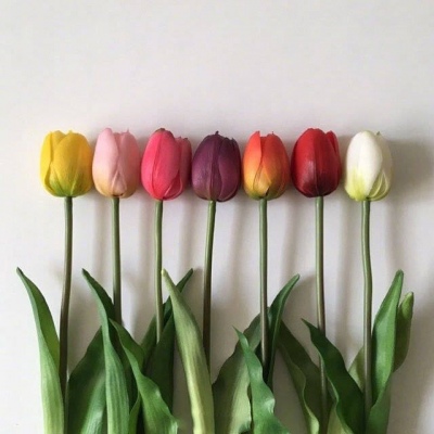 | ����ϵ���� |