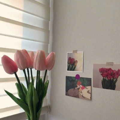 | ����ϵ���� |