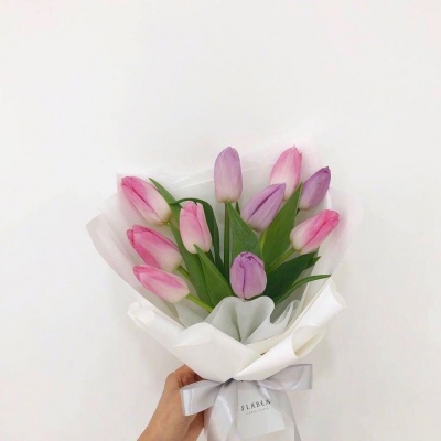 | ����ϵ���� |