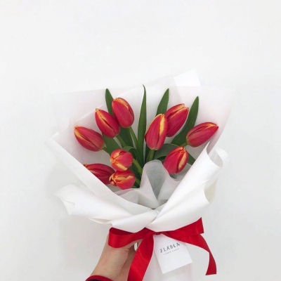 | ����ϵ���� |