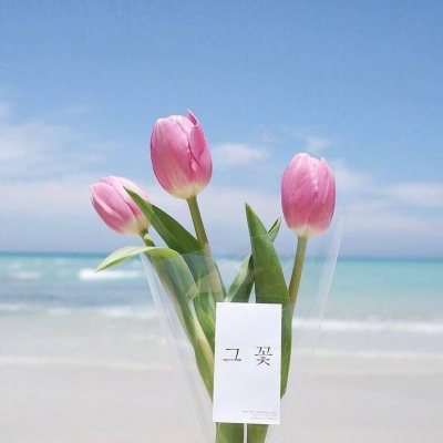 | ����ϵ���� |