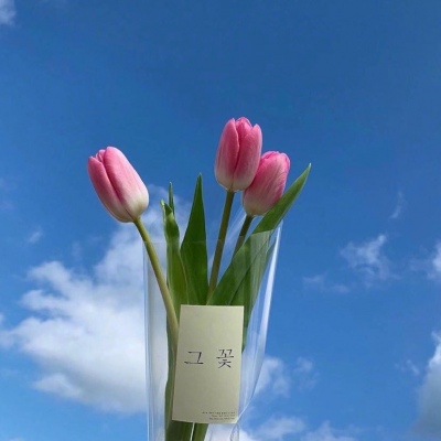 | ����ϵ���� |