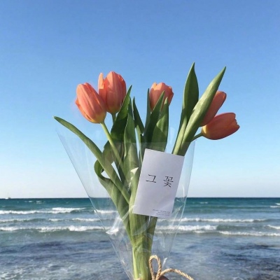 | ����ϵ���� |