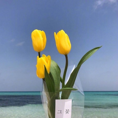 | ����ϵ���� |