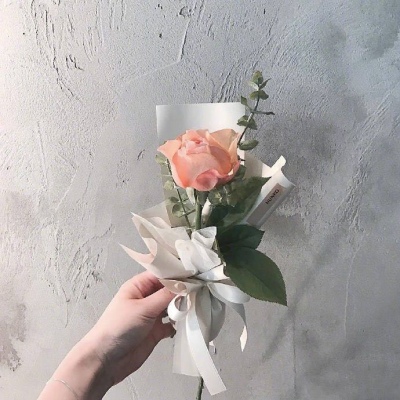 | ����ϵ���� |