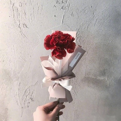 | ����ϵ���� |