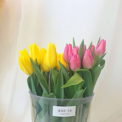 | ����ϵ���� |