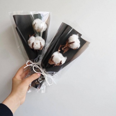 | ����ϵ���� |