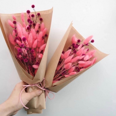 | ����ϵ���� |