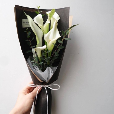 | ����ϵ���� |