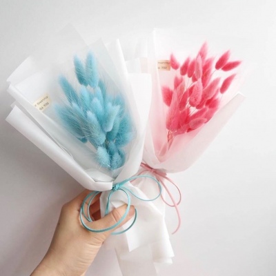 | ����ϵ���� |