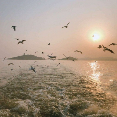 �羰����ͷ�� ���Ʊ�����������