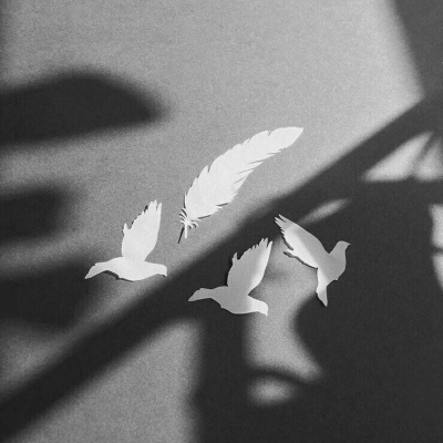 �羰����ͷ�� ���Ʊ�����������