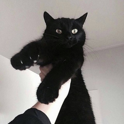 �羰����ͷ�� ���Ʊ�����������