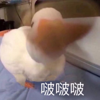 ���鲻�ã���һ����Ѫ