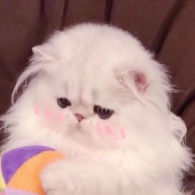 ���鲻�ã���һ����Ѫ