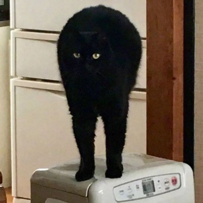 ���鲻�ã���һ����Ѫ