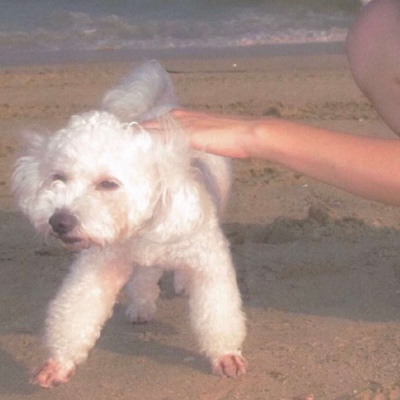 ������������ͷ/ͼԴ����/����ĺ�� �����Բ� Ѱ������������.