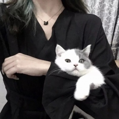 ��λŮͷ?�������� �˸���ĸ һ�仰 ���������˵�����ﻰ I love you