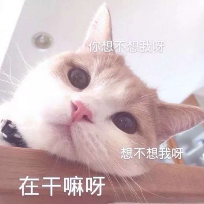 �ɰ���ɳ������