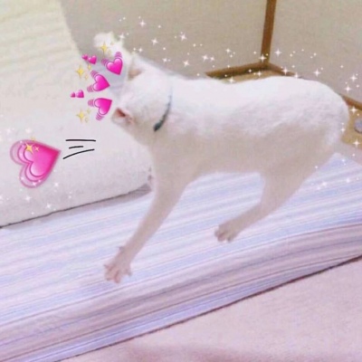 | ̫�ɰ��˰� |