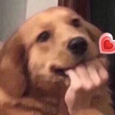 | ̫�ɰ��˰� |